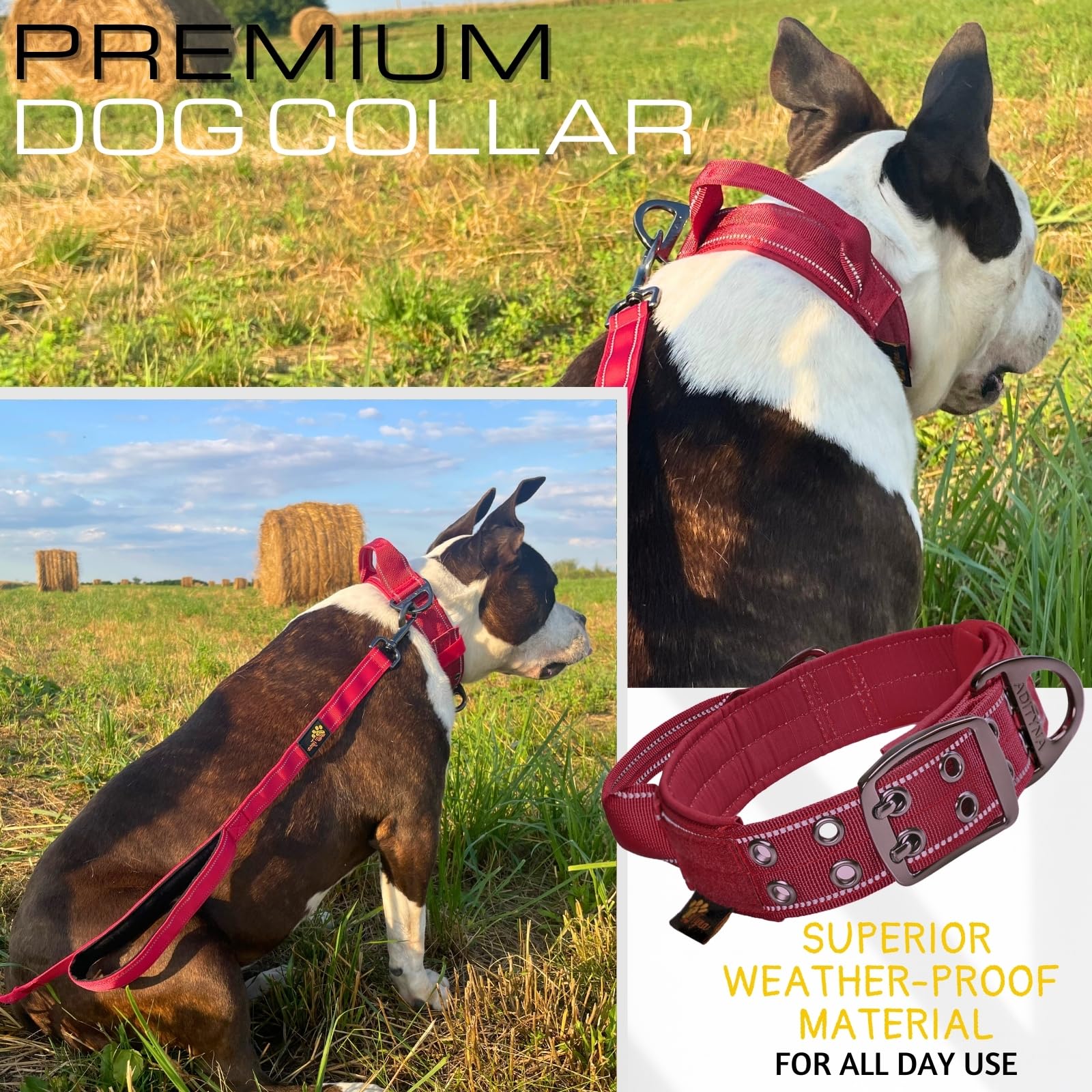 Adityna Heavy Duty Dog Collar For Medium Dogs - Reflective Burgundy Collar With Handle For Training, And Walking - Wide, Thick,